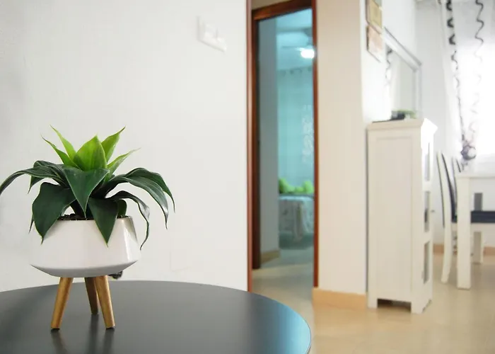 Pool Av Mancha Torrevieja