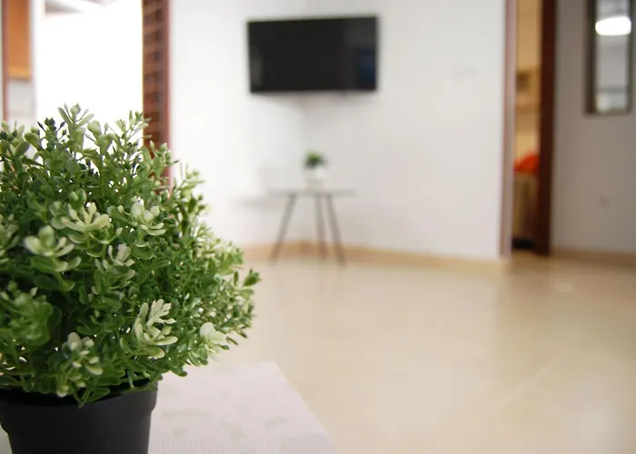 Pool Av Mancha * Torrevieja